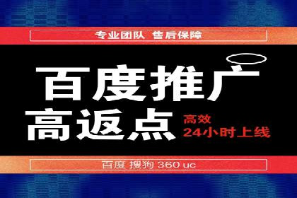 行业领先企业如何通过网络推广实现竞价增长